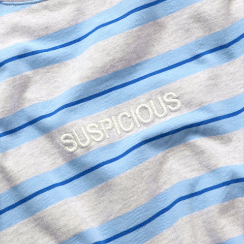 Summer Breeze / Mirror Striped Tee - Heather & Blue