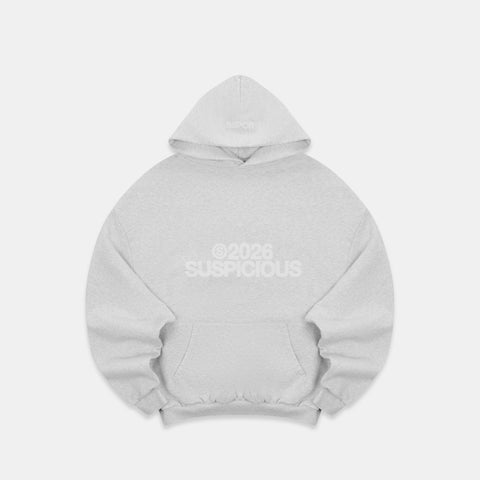 Spring 1 / S2026 Hoodie - Ash