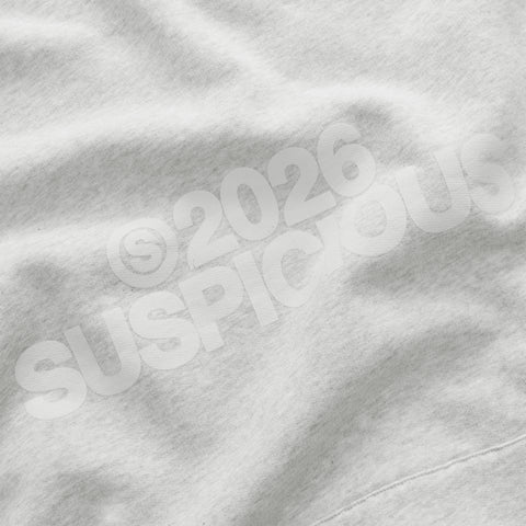 Spring 1 / S2026 Hoodie - Ash