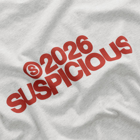 Spring 1 / S2026 Longlseeve - Ash