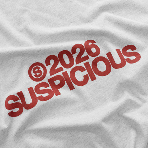 Spring 1 / S2026 Tee - Ash