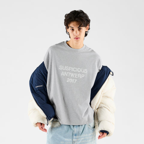 Winter 2 / Brushed Tee - Heather Grey