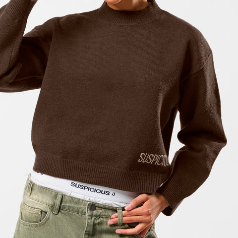 Winter2 / Core W High Neck Knit - Espresso