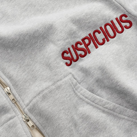 Fall / Core Zip-Up Hoodie - Neutral Heather