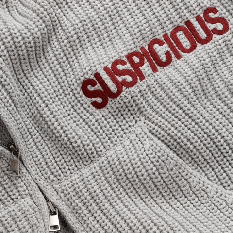 Fall / Core Zip-Up Knitted Hoodie - Neutral Heather