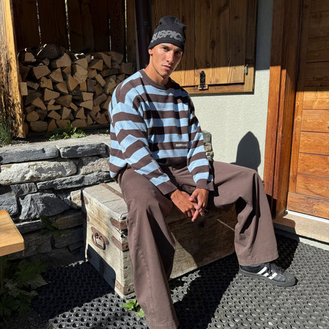 Fall / Striped Cotton Knit - Dusty Blue & Brown