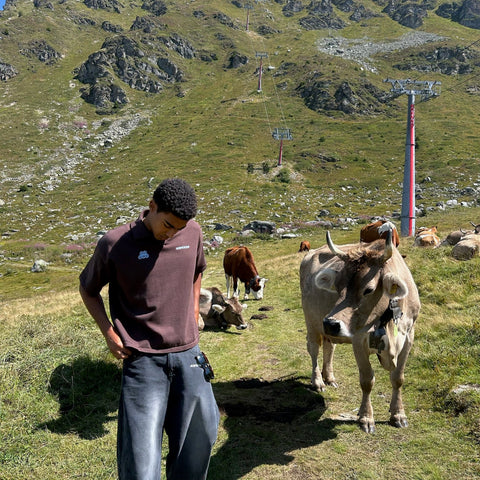 Fall / Offset Cotton Polo - Brown