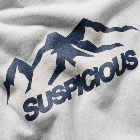 Winter 1 / Landscape Hoodie - Ash