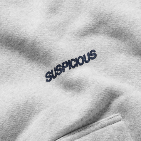 Winter 1 / Landscape Hoodie - Ash