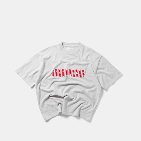 Summer Stripes / Red Striped SSPCS Applique Tee - Ash