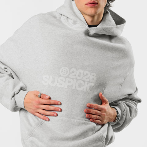 Spring 1 / S2026 Hoodie - Ash