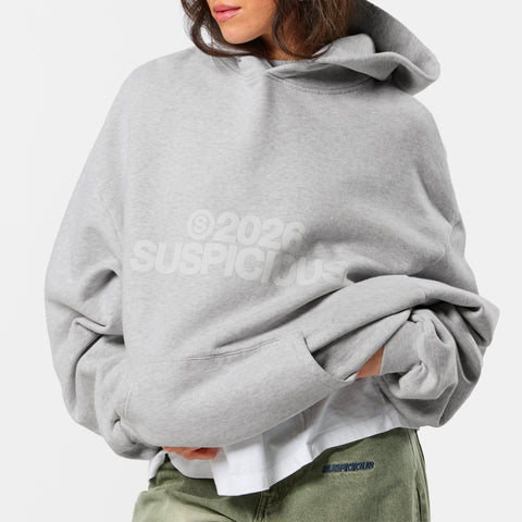 Spring 1 / S2026 Hoodie - Ash