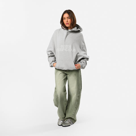 Spring 1 / S2026 Hoodie - Ash