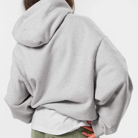 Spring 1 / S2026 Hoodie - Ash