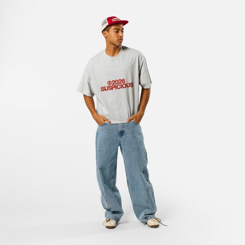 Spring 1 / S2026 Tee - Ash