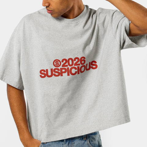 Spring 1 / S2026 Tee - Ash