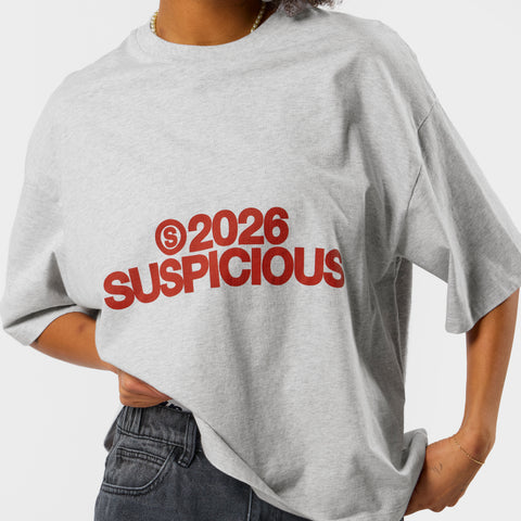 Spring 1 / S2026 Tee - Ash