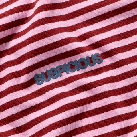 End Of Summer / SSPCS Striped Longsleeve - Dusty Pink & Red