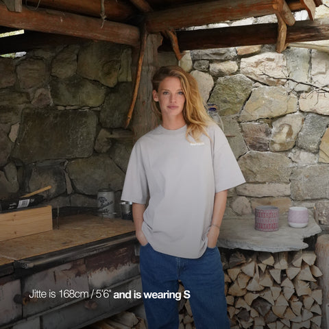 The Suspicious Tee - Nomad Grey