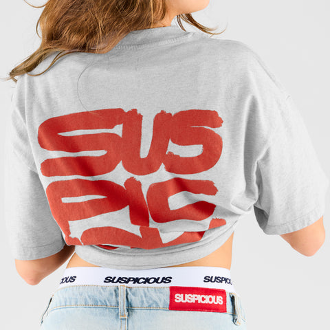 Bestsellers GTD / S(us)USPICOUS Tee - Ash