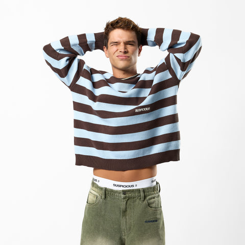 Fall / Striped Cotton Knit - Dusty Blue & Brown