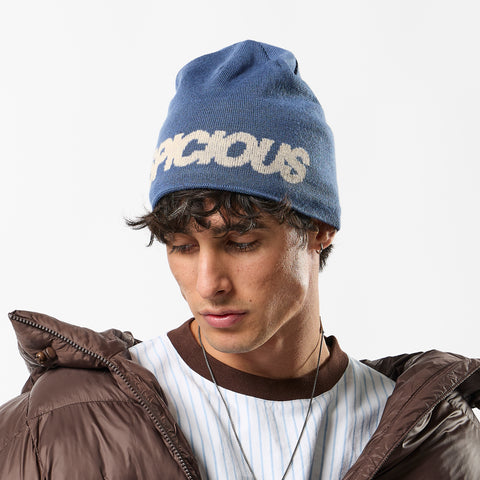 Winter1 / Suspicious Beanie - Navy