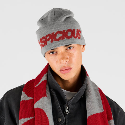 Fall 2 / Suspicious Beanie - Red & Heather Grey