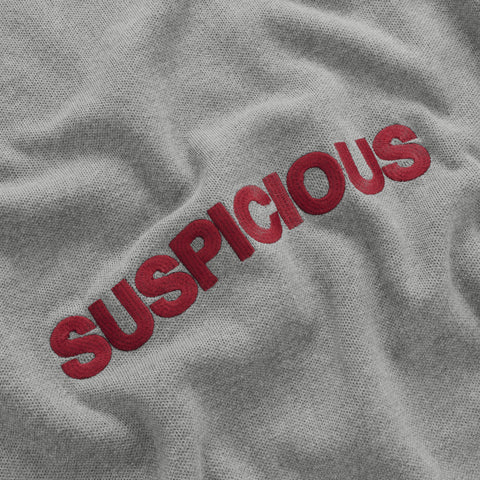 EoS / Suspicious Cotton Knit - Grey