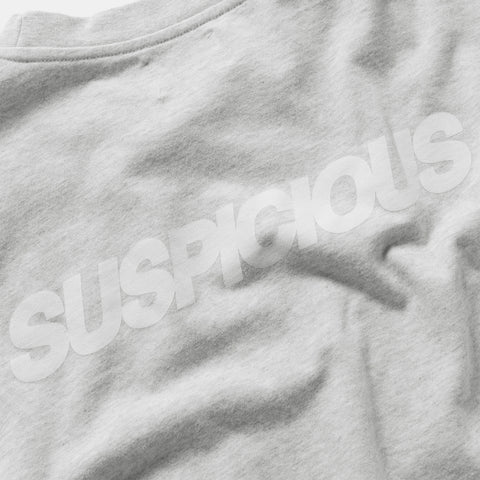 Fall 2 / Suspicious Longsleeve - Ash