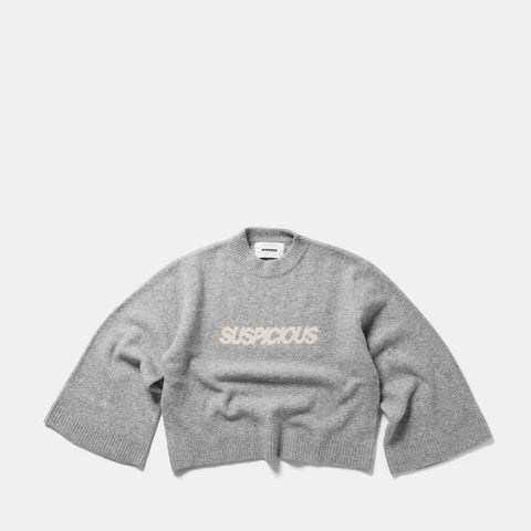 Fall 2 / Suspicious W Sleeve Knit - Heather Grey