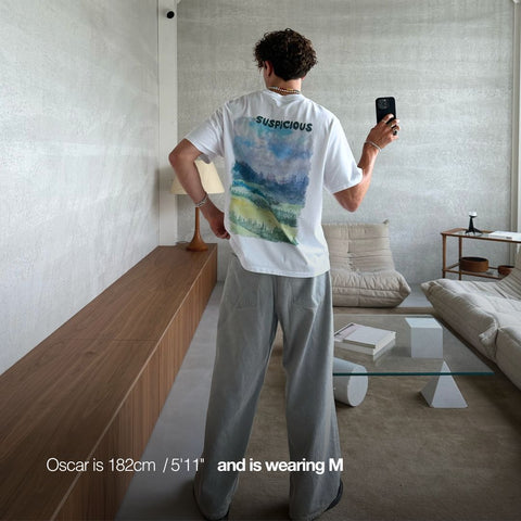 The Suspicious Scenery - Switzerland