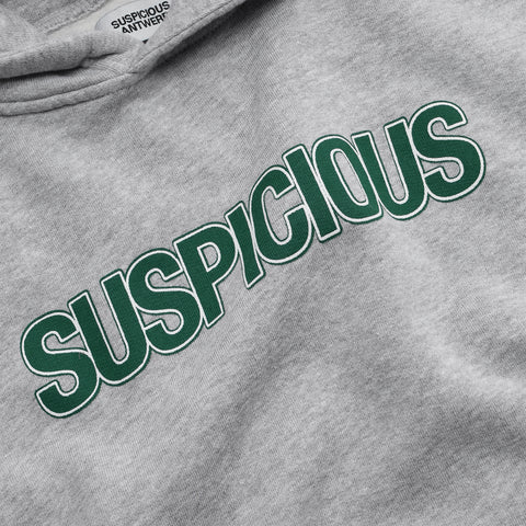 The Suspicious Lining Hoodie - Neutral Heather