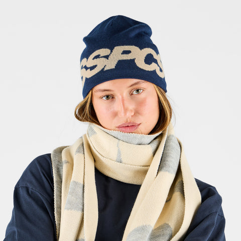 Fall 1 / Track Beanie - Navy