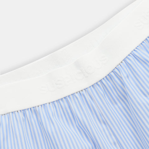 Spring 1 / Vertified Striped Cotton Pants - Blue