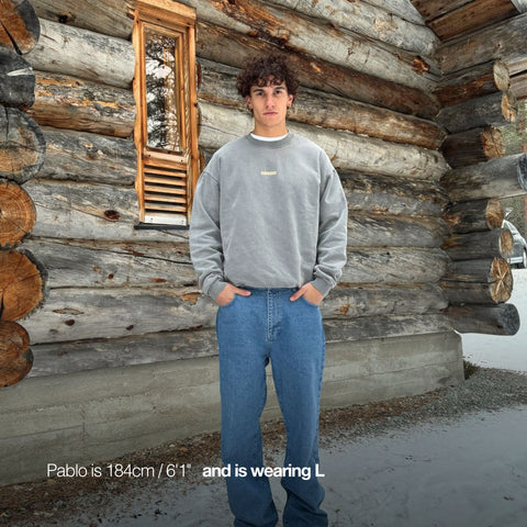 The Centre de Neige Crewneck - Dark Shadow