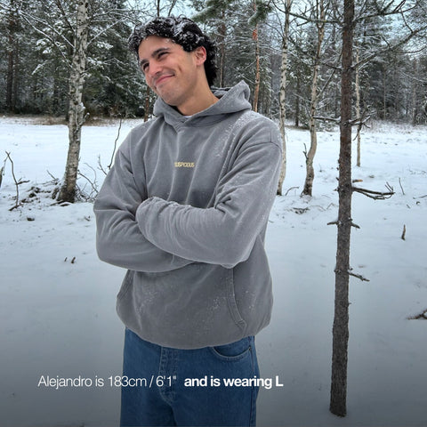 The Centre de Neige Hoodie - Dark Shadow