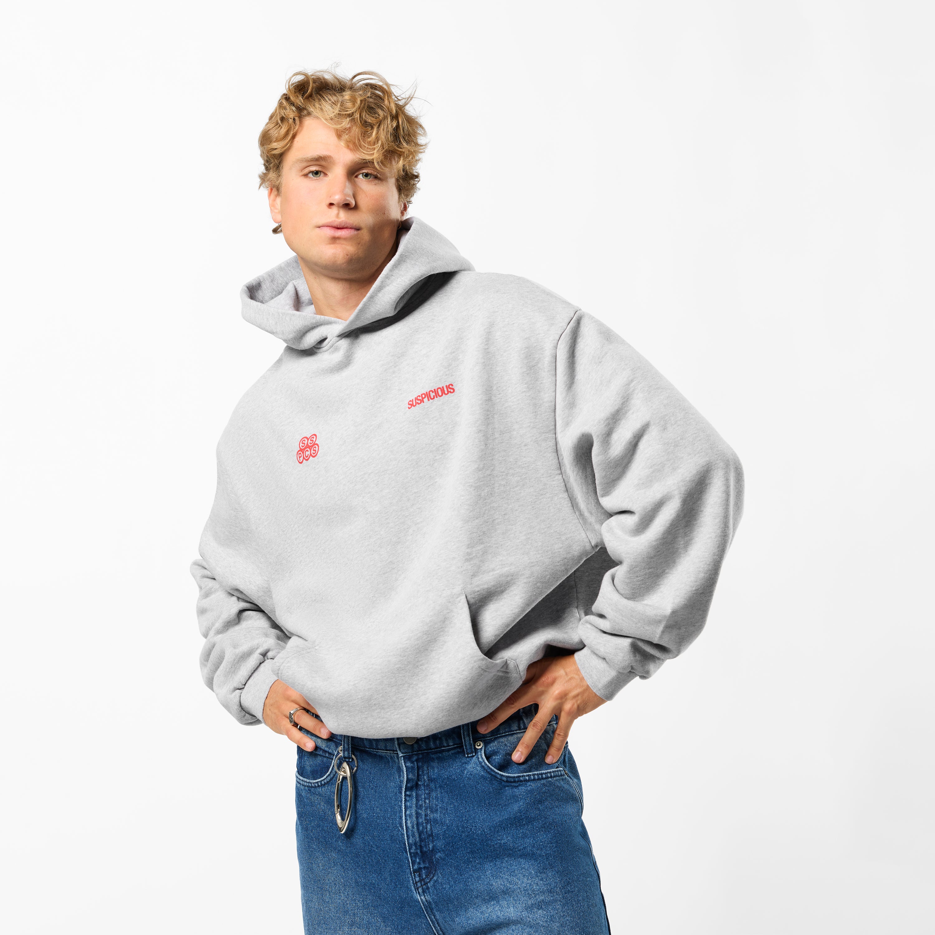 Landscape Hoodie - Heather Grey – Suspicious Antwerp