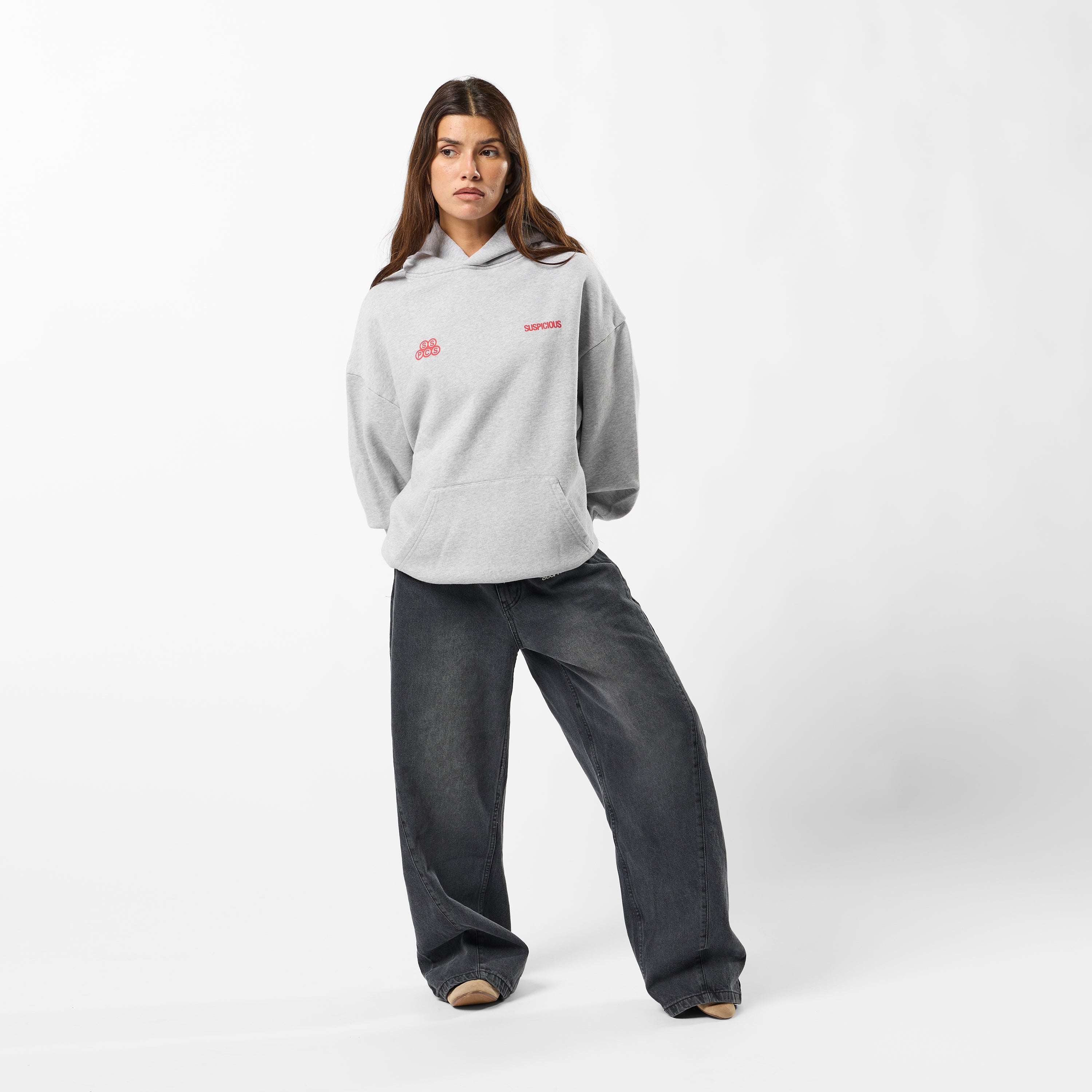 Landscape Hoodie - Heather Grey – Suspicious Antwerp