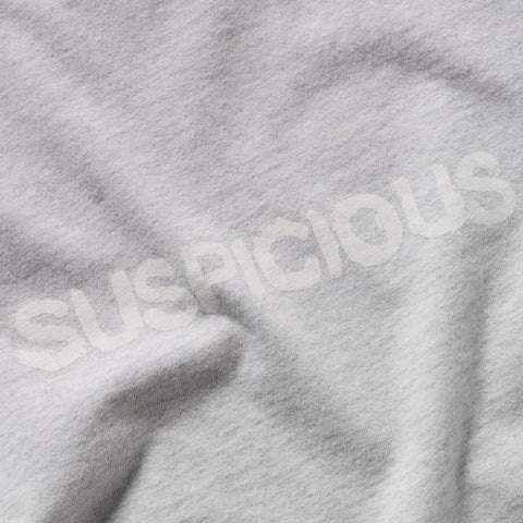 Winter 2 / Brush W Tight Longsleeve - Ash
