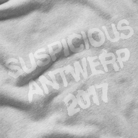 Winter 2 / Brushed Hoodie - Heather Grey