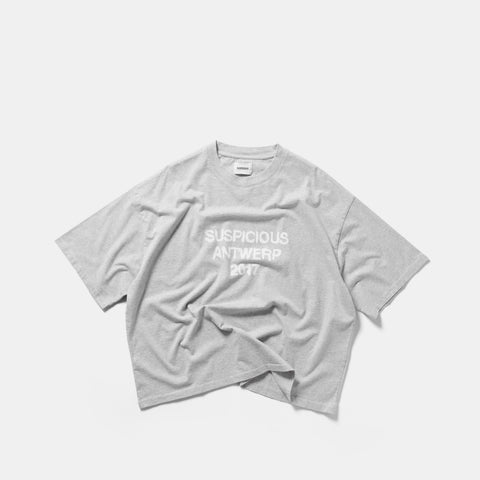 Winter 2 / Brushed Tee - Heather Grey