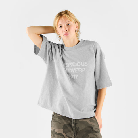 Winter 2 / Brushed Tee - Heather Grey
