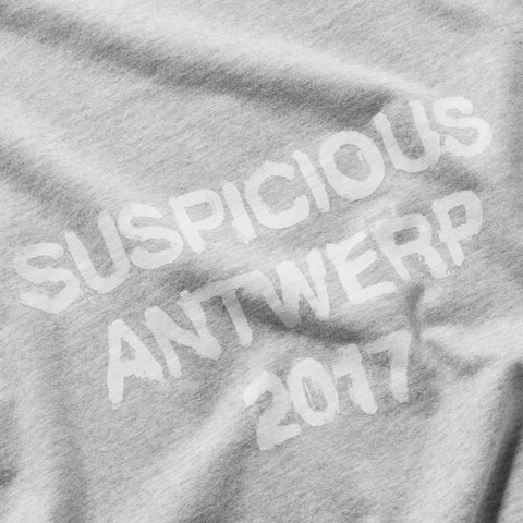 Winter 2 / Brushed Tee - Heather Grey