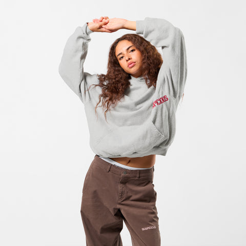 Fall / Core Hoodie - Neutral Heather