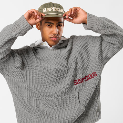 Fall / Core Knitted Hoodie - Neutral Heather