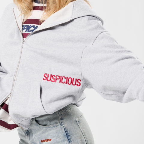 Fall / Core Zip-Up Hoodie - Neutral Heather