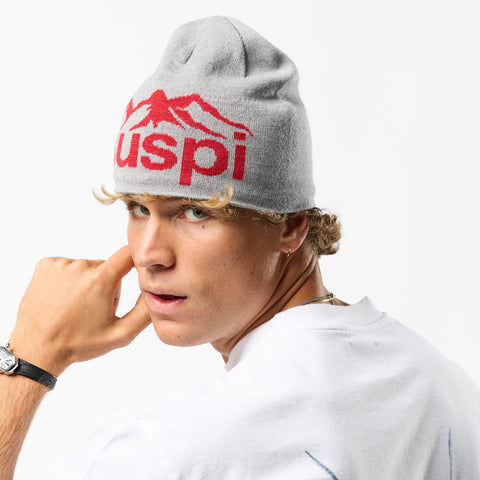 Winter1 / Landscape Beanie - Heather Grey