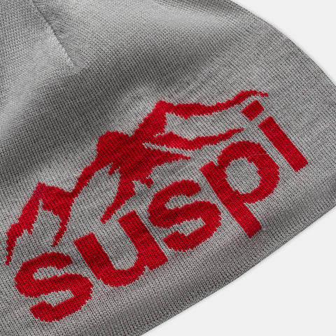 Winter1 / Landscape Beanie - Heather Grey