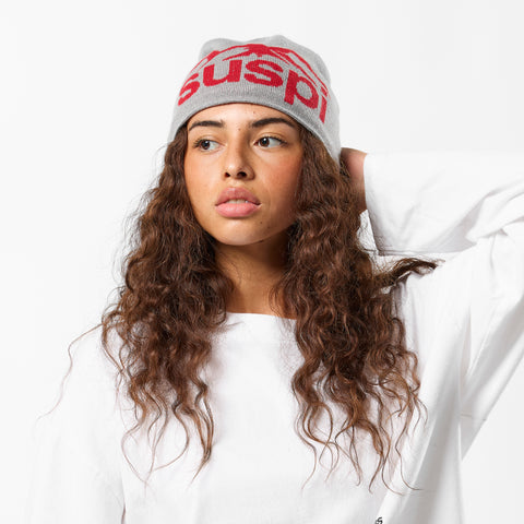 Winter1 / Landscape Beanie - Heather Grey