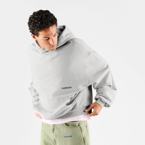 Winter 1 / Landscape Hoodie - Ash
